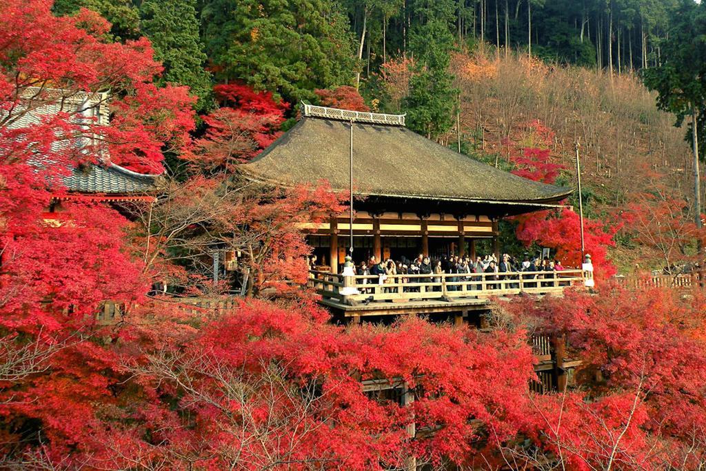 Villa Rin Kyoto Kinkaku-Ji Temple Exterior foto